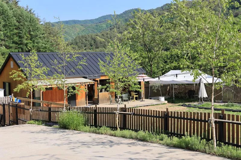 잼보리 캠프 3