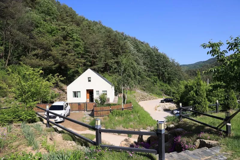 잼보리 캠프 9
