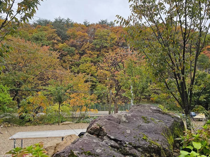 무심골 캠핑장 11