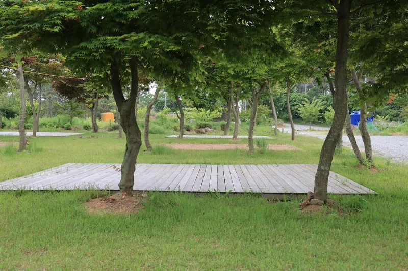 솔향기길야영장 11