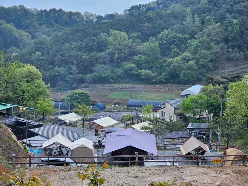 단양 별마루캠핑장 4