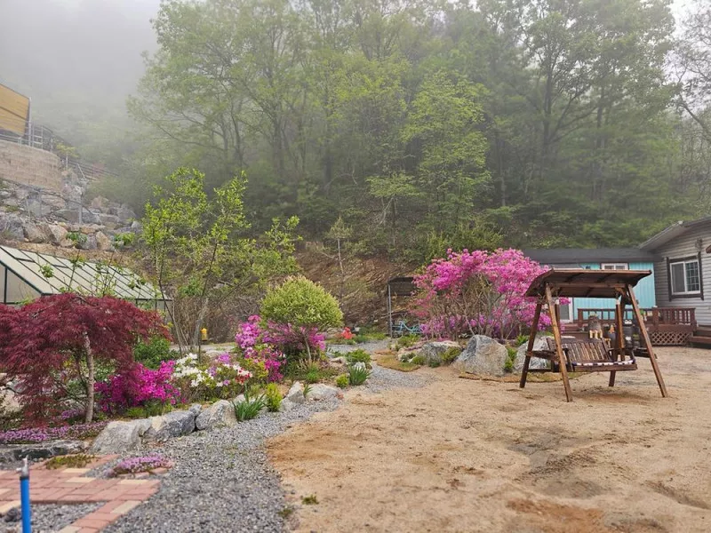 단양 별마루캠핑장 5