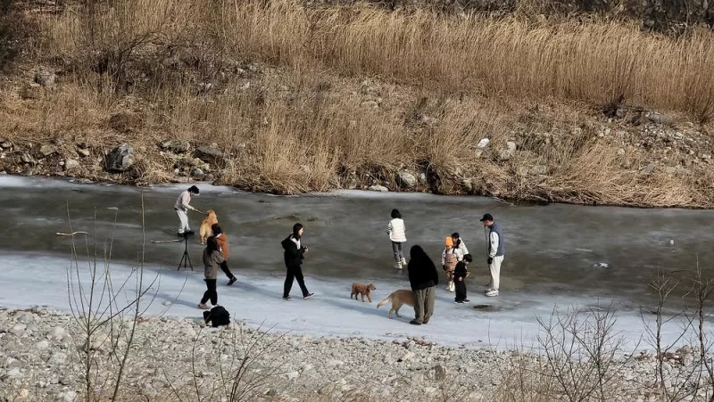 부라보캠프 2