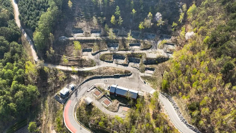 매봉산 천상의 숲 3