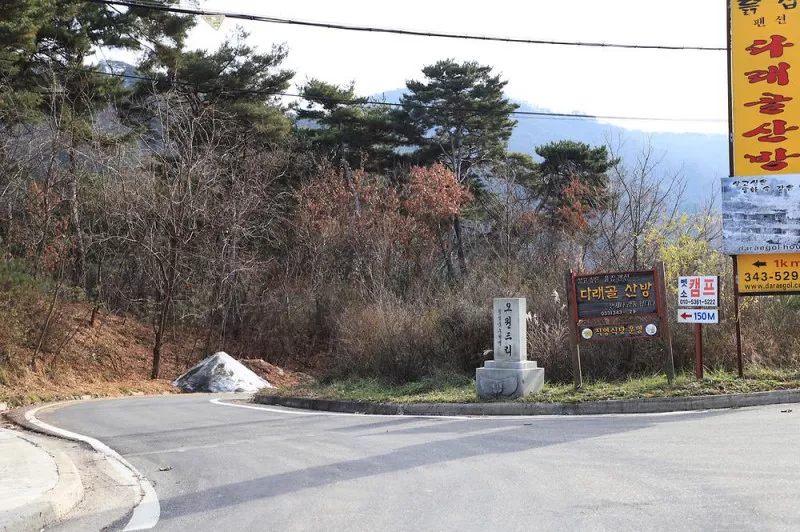 벳소캠프 10