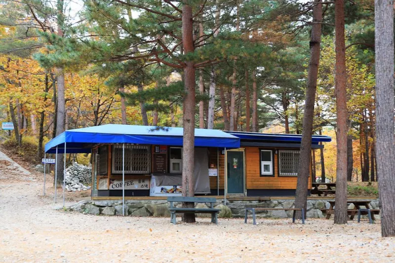 강릉 노추산 힐링캠프 7
