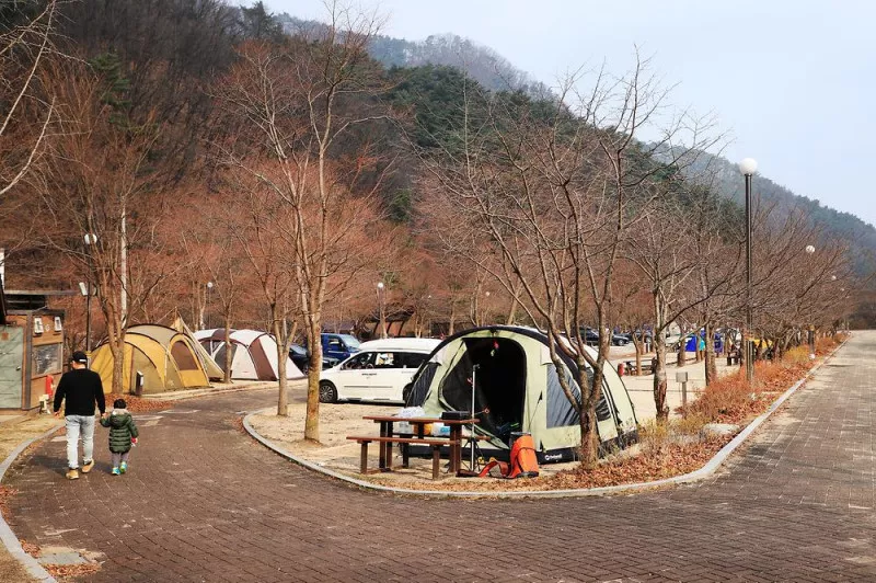 구룡자동차야영장(치악산국립공원) 9