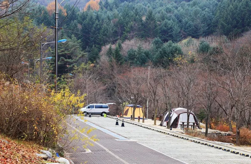 구룡자동차야영장(치악산국립공원) 10