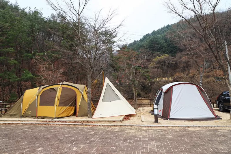 구룡자동차야영장(치악산국립공원) 8