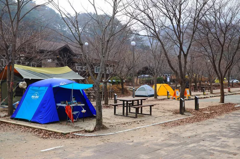 구룡자동차야영장(치악산국립공원) 5