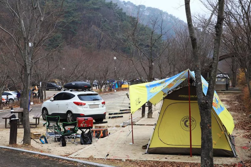 구룡자동차야영장(치악산국립공원) 11