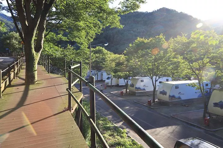 구룡자동차야영장(치악산국립공원) 1