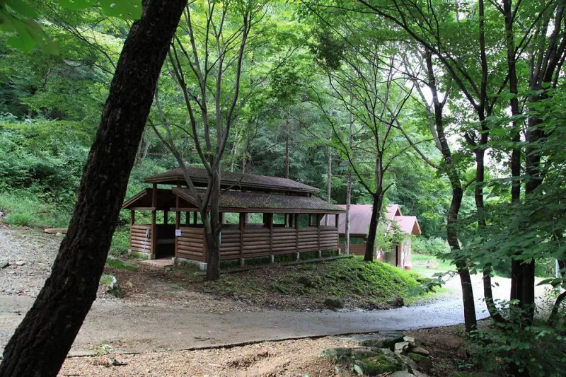 와룡자연휴양림 자동차야영장 3