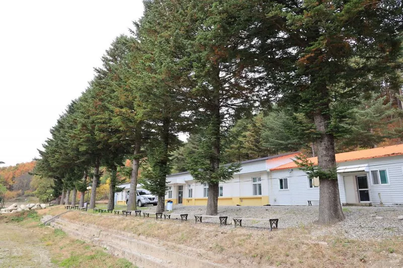 대기리산촌체험학교야영장 3