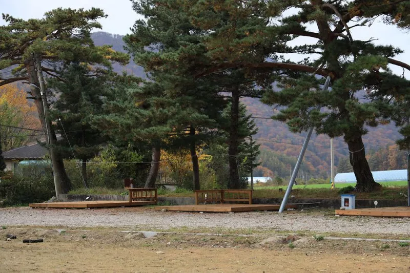 대기리산촌체험학교야영장 6