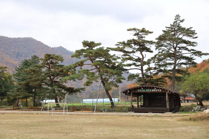 대기리산촌체험학교야영장 2