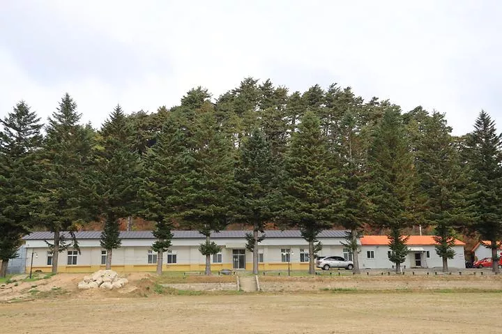 대기리산촌체험학교야영장 1