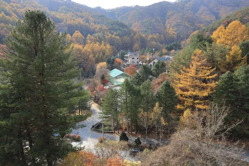 피노키오관광농원 야영장 4