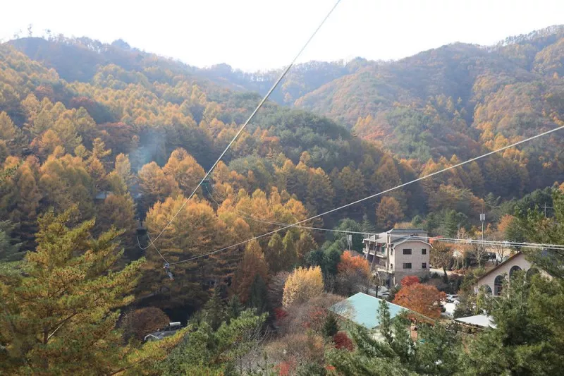 피노키오관광농원 야영장 3
