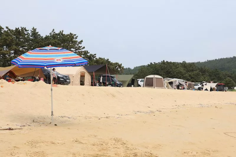 해씨유 10