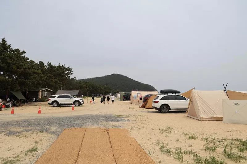 해씨유 8