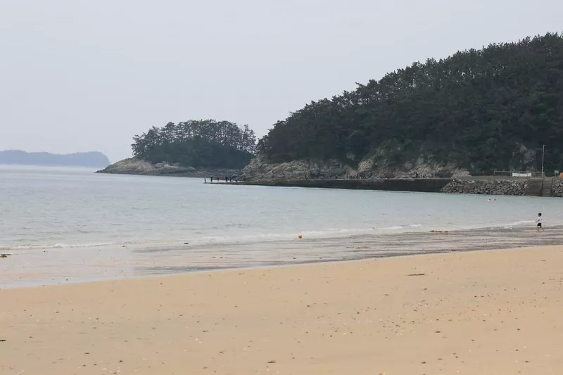 해씨유 11