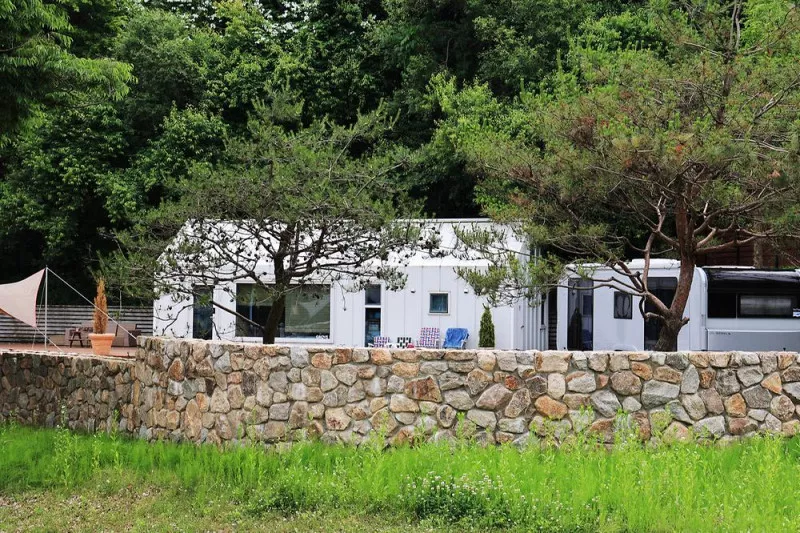 그로브 5