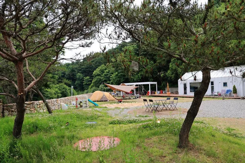 그로브 11