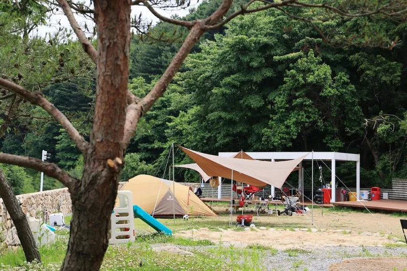 그로브 8