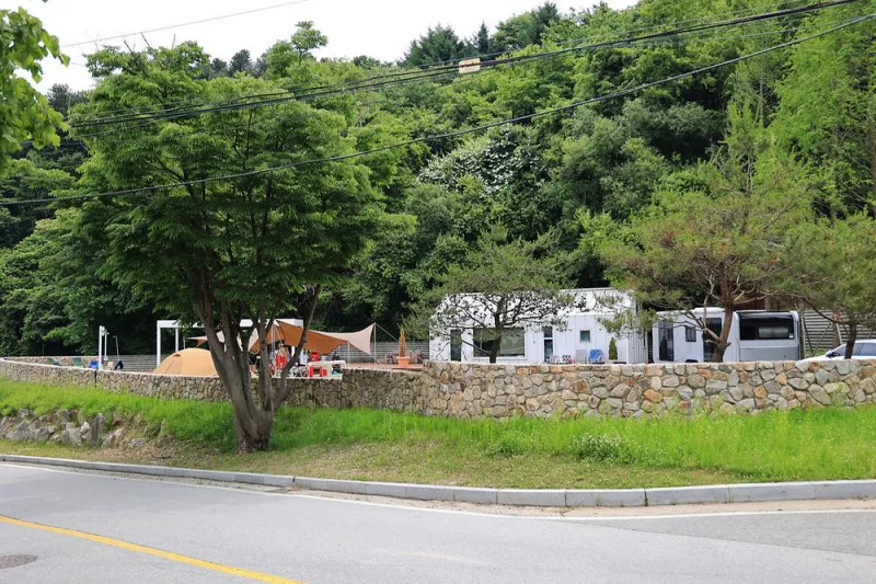 그로브 6