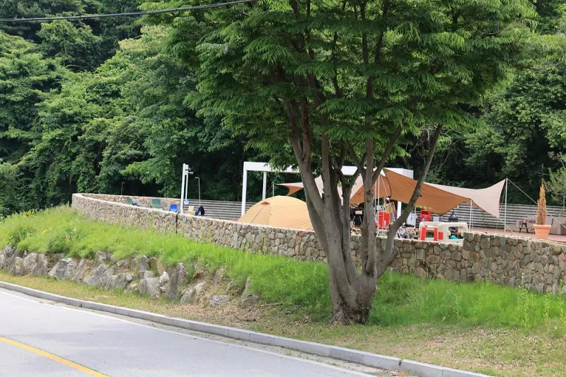 그로브 3