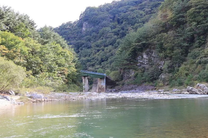 정선 달별빛 캠핑장 3