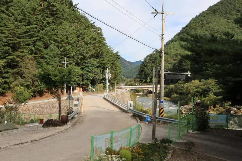 정선 달별빛 캠핑장 7