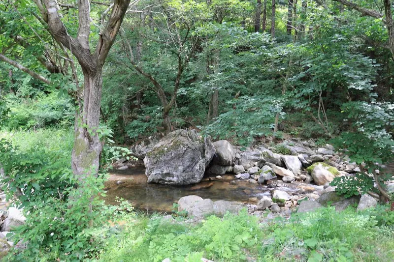 명달 야영장 9
