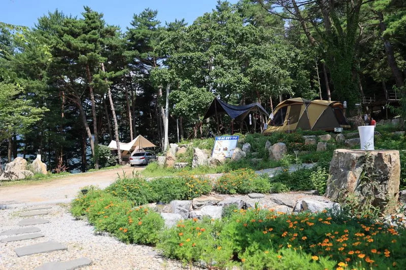 구름품은 캠핑장 5