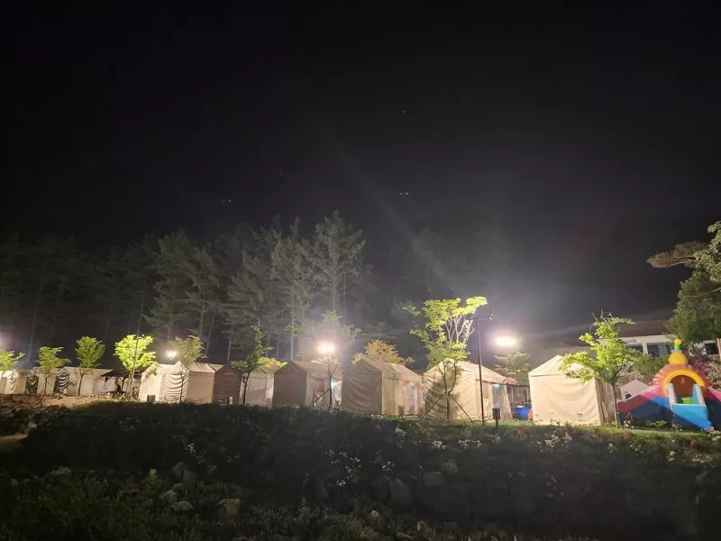 코알라캠핑장 5