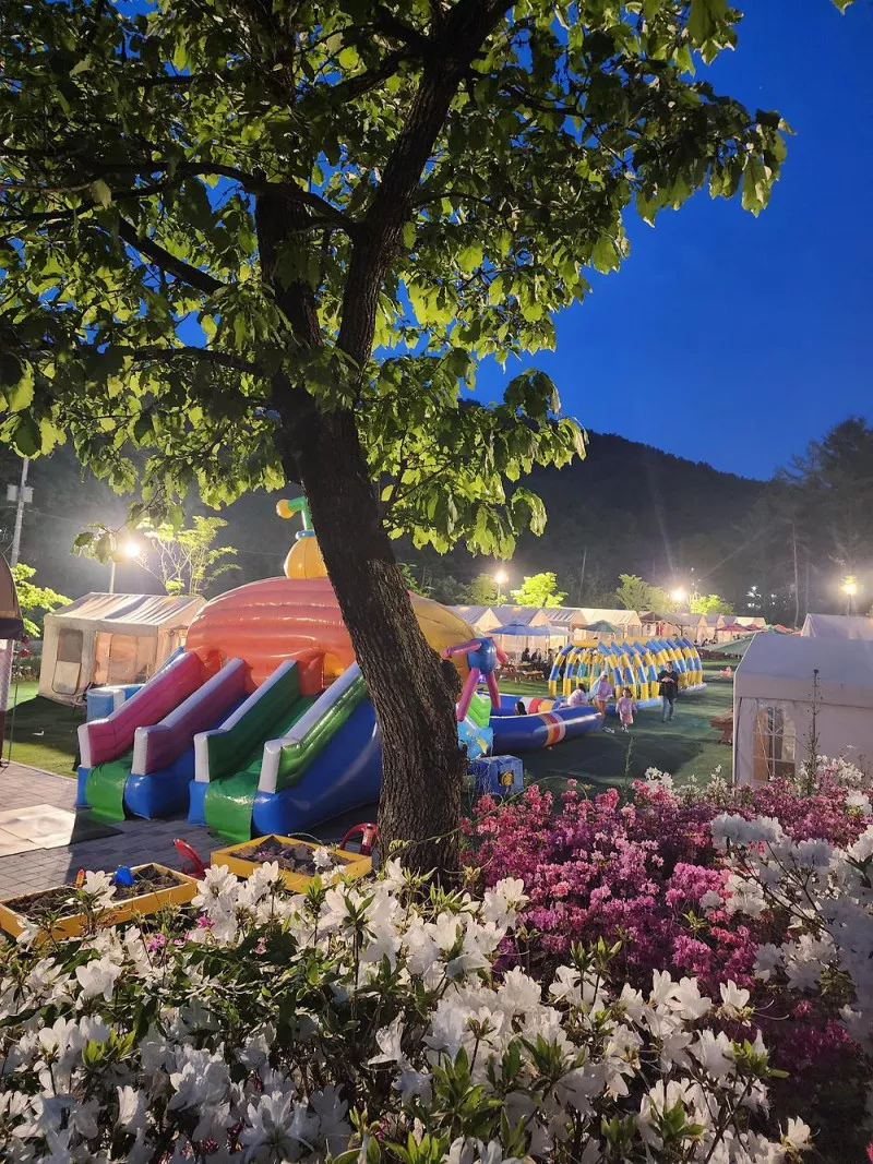 코알라캠핑장 11