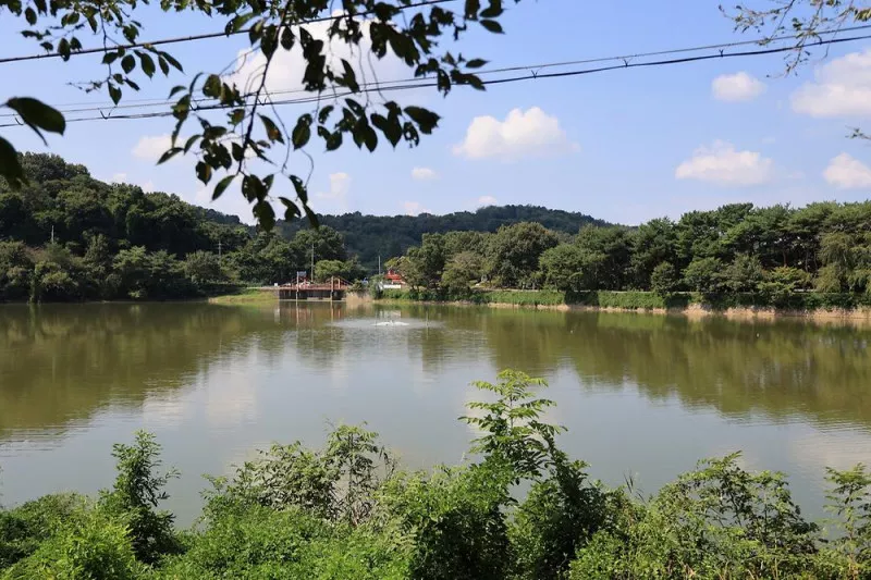 청춘별곡 9
