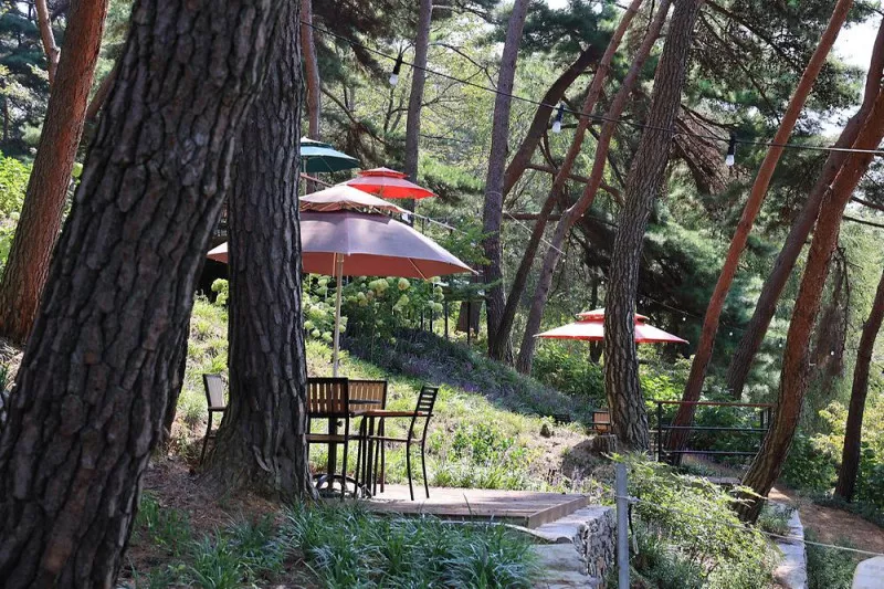 청춘별곡 4