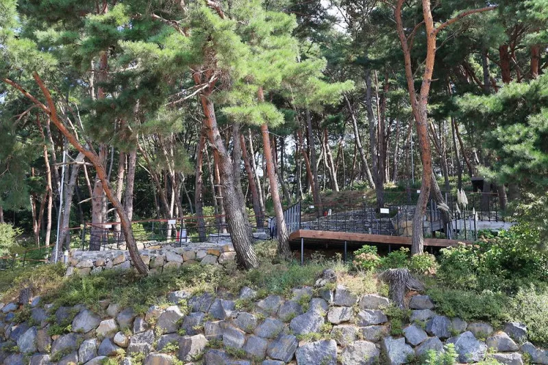 청춘별곡 8