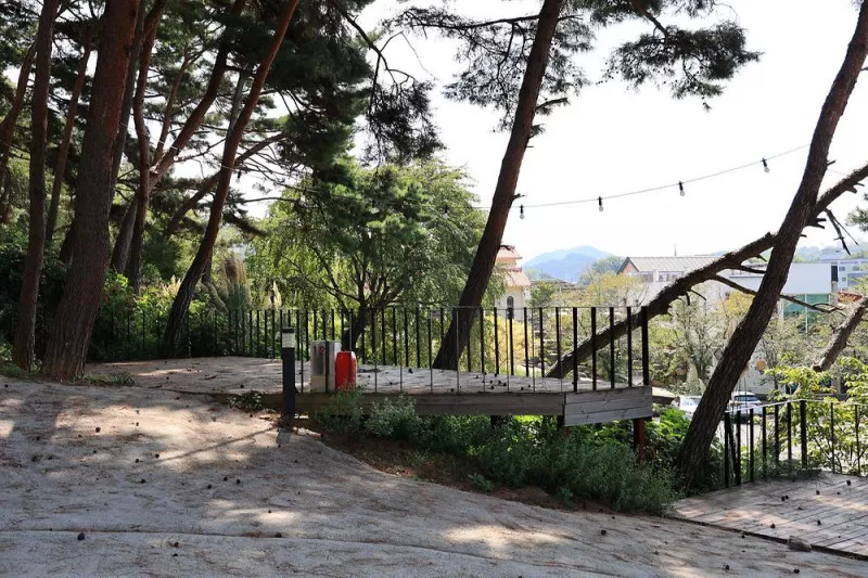청춘별곡 6
