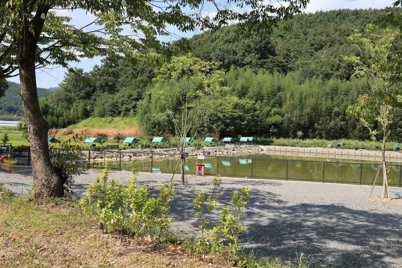 호수랑 오토캠핑장 9
