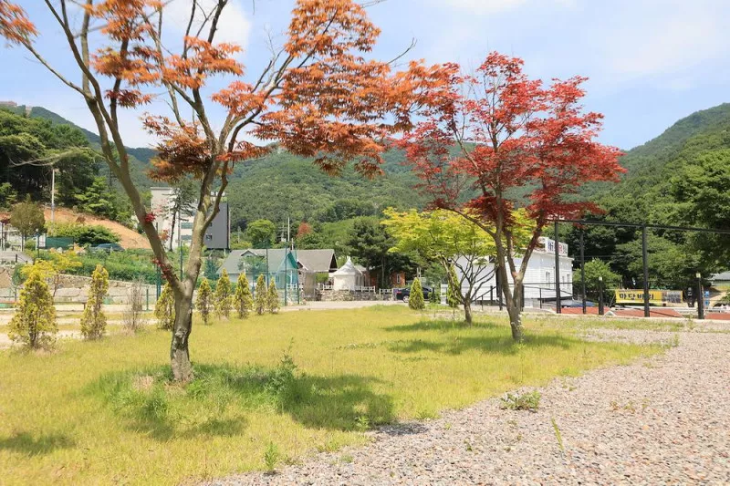 개명연수원 캠핑장 9