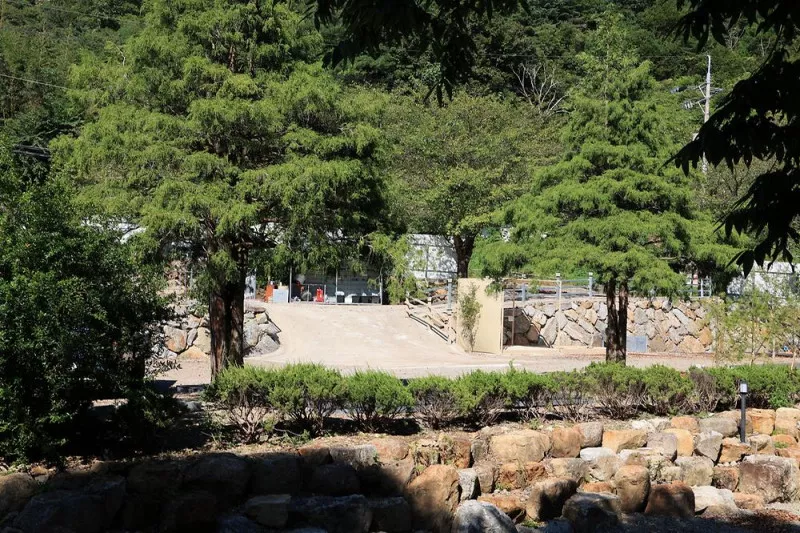 지리산하이웨이 캠핑장 6