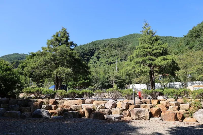 지리산하이웨이 캠핑장 8