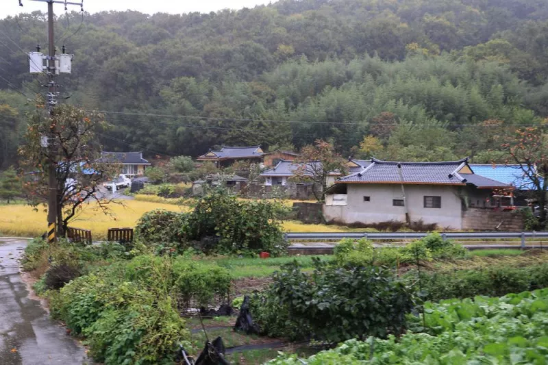 온새미로 오토캠핑장 4