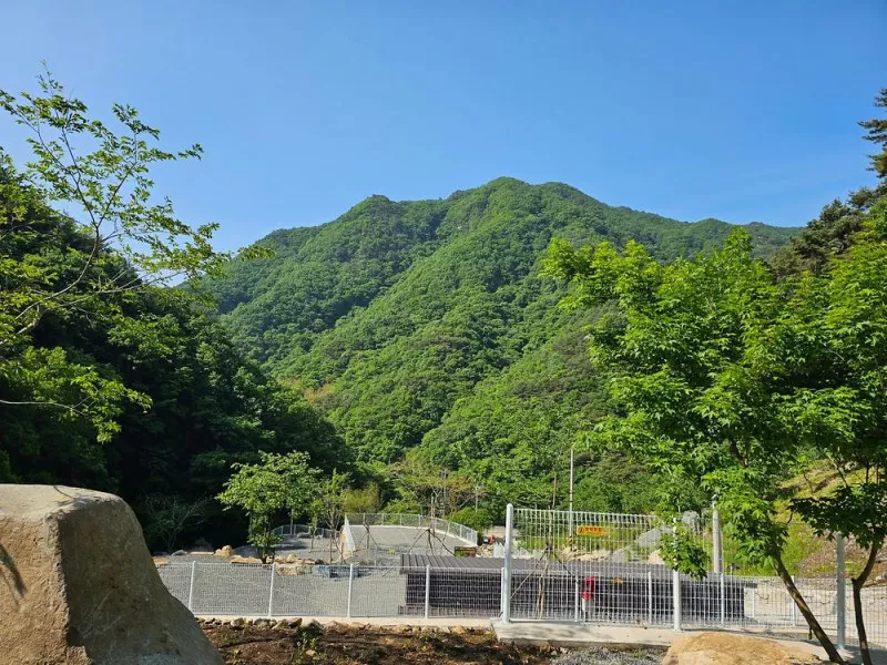 청학동별빛캠핑장 9