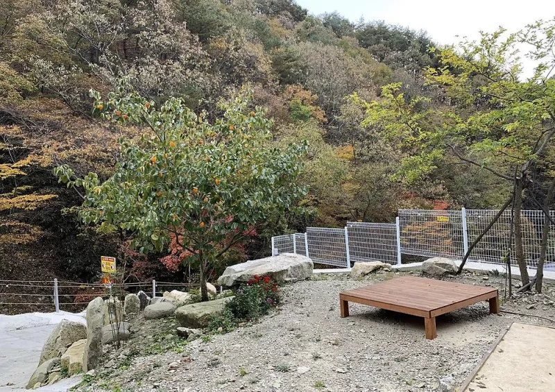 청학동별빛캠핑장 4
