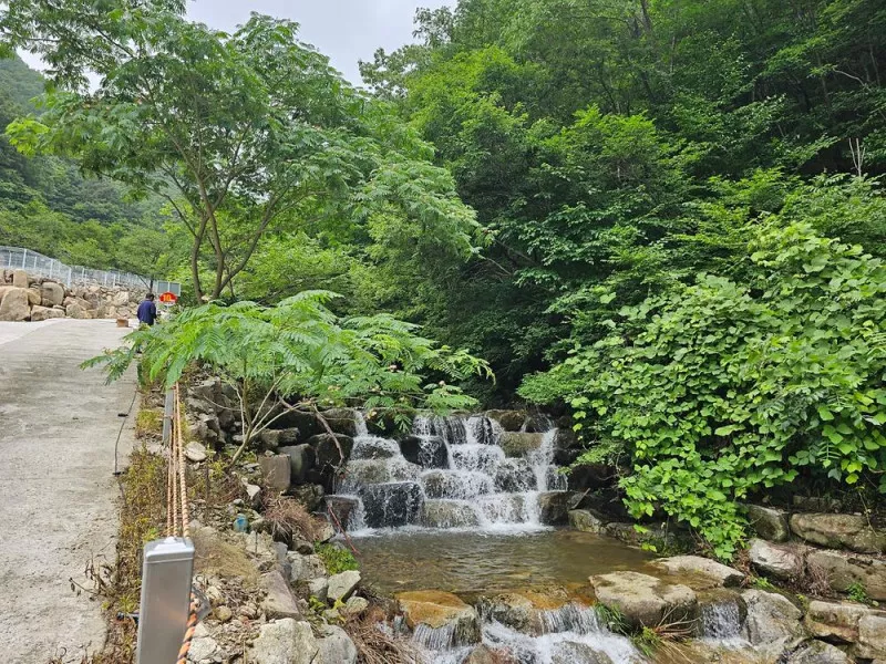 청학동별빛캠핑장 7