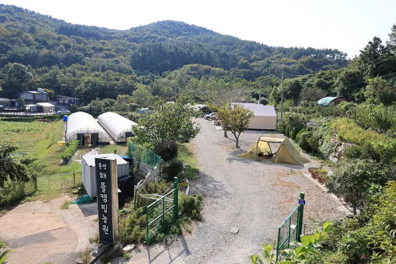 통영해뜰캠핑농원 11